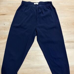 Babaton Dexter Pants in Navy Blue